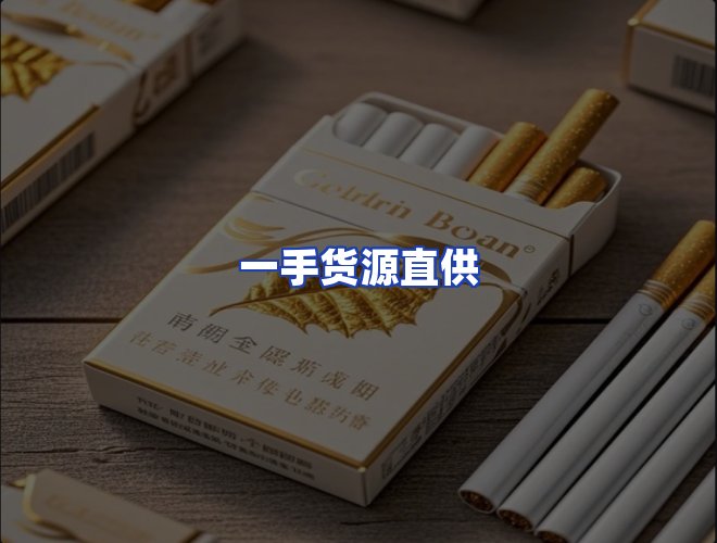 专业团队